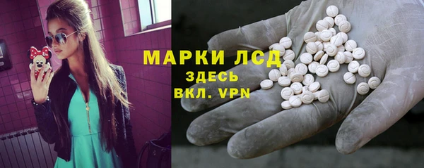 соль ск Дмитриев