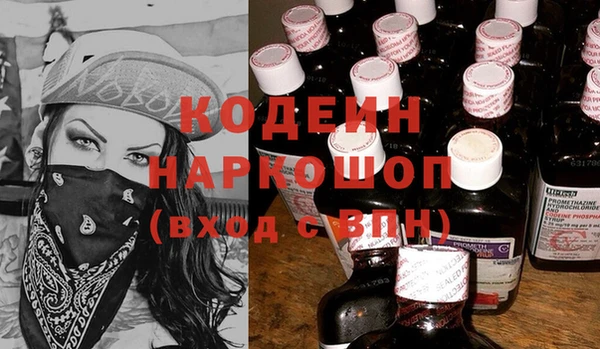 соль ск Дмитриев
