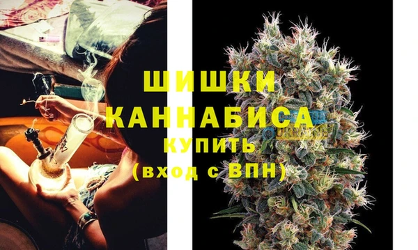 соль ск Дмитриев