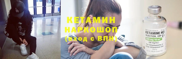 соль ск Дмитриев