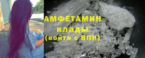 соль ск Дмитриев