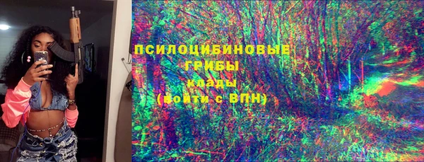 соль ск Дмитриев