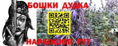 эйфоретик Аргун