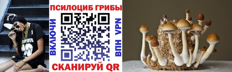 Галлюциногенные грибы Cubensis Бийск