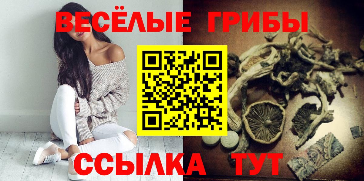 Псилоцибиновые грибы мухоморы Бийск