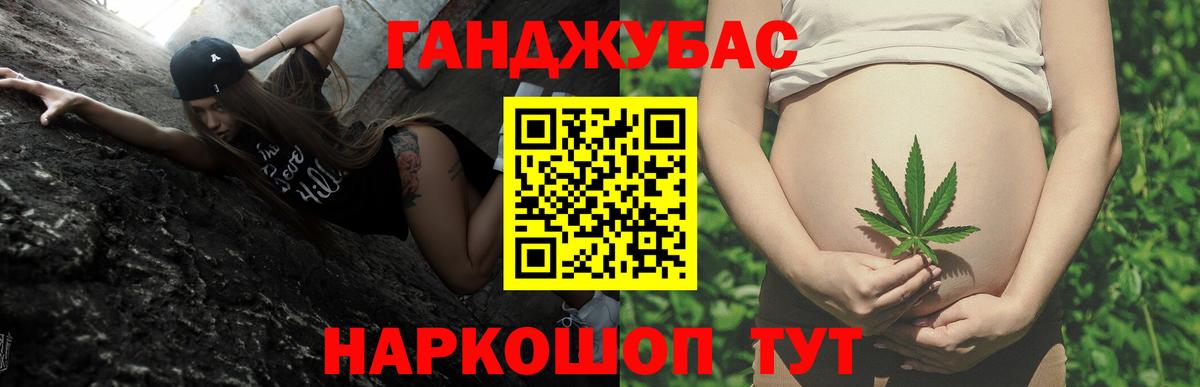 Бошки марихуана планчик  Каннабис планчик  Бийск  Вход с VPN  Конопля OG Kush 